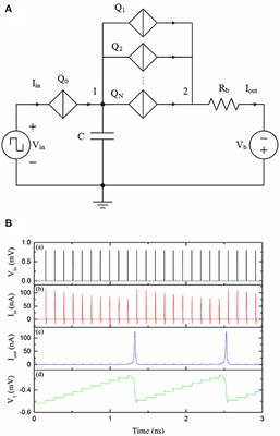 Toward Learning in Neuromorphic Circuits Based on Quantum Phase Slip Junctions